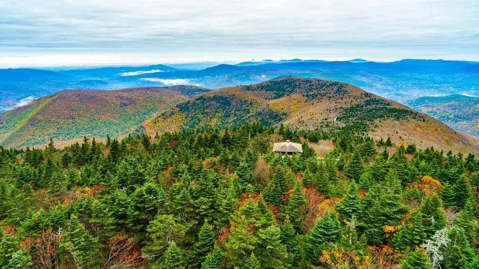 Watch Out for These 2 Predators on Massachusetts’ Highest Mountain
