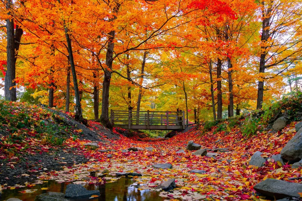 4 Cozy Western Massachusetts Towns You Need to Experience This Fall