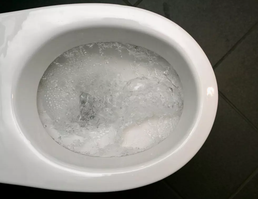 Common, Everyday Items You Should NOT Flush Down The Toilet In Massachusetts